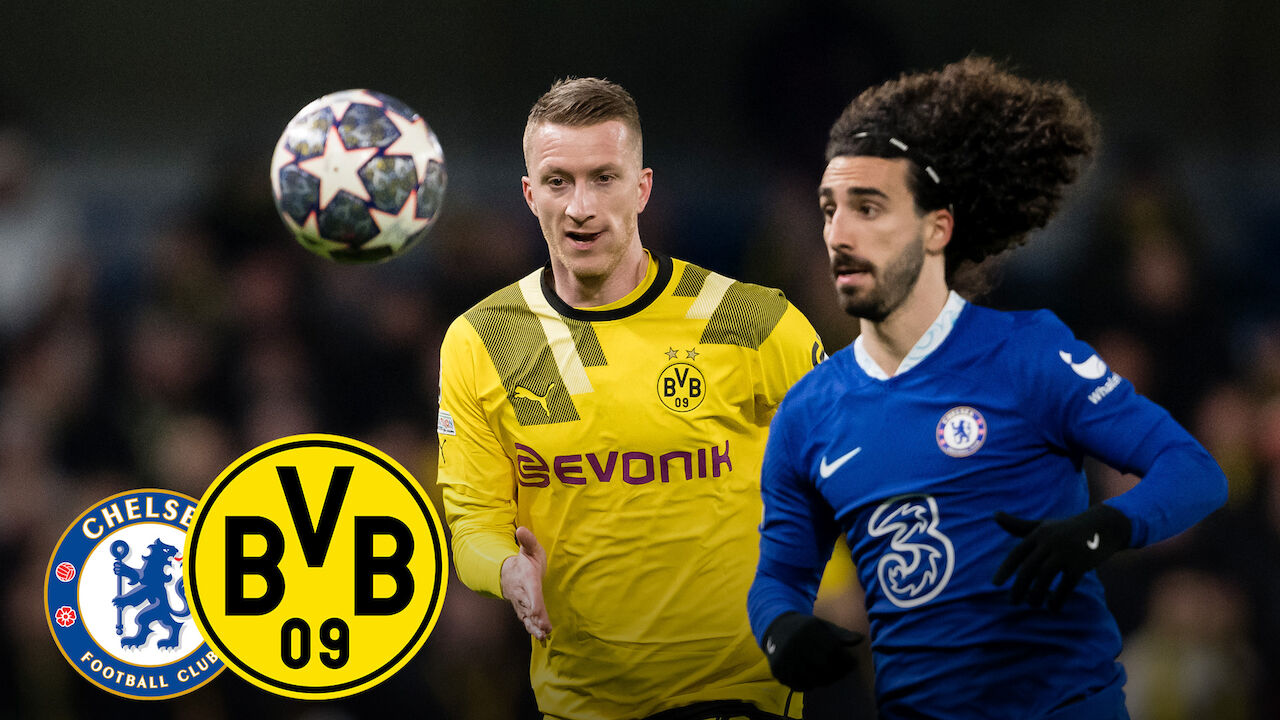 BVB-TV | Round of 16 - 2